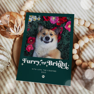 Luffig Och Ljus Hund Foto Rolig Jul Julkort