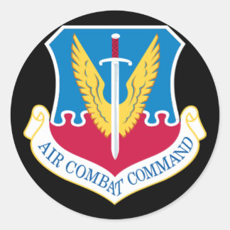 Luft Combat Command Sticker Runt Klistermärke