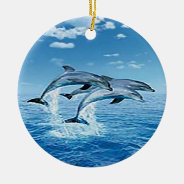 Luft Dolphins Ornament (Framsidan)