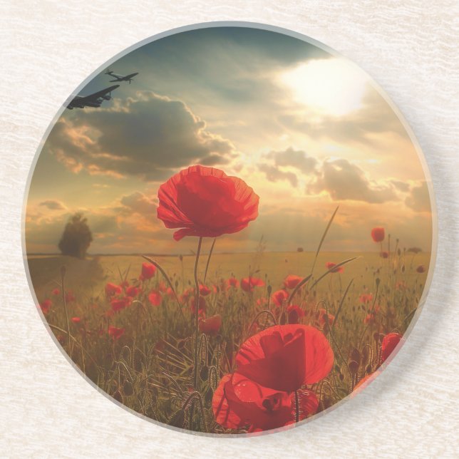 Luft Force Tribute Underlägg Sandsten (Framsidan)