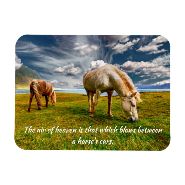 Luft i Heaven Horse Quote Magnet (Horisontell)