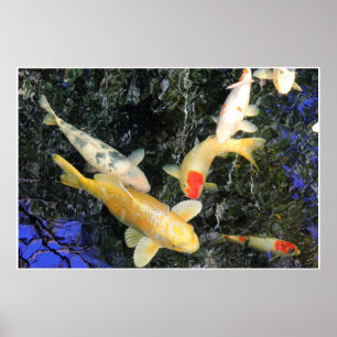 Luft Koi Poster