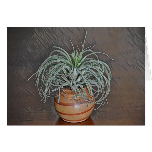 Luft Plant OBS Kort (Framsidan Horizontal)