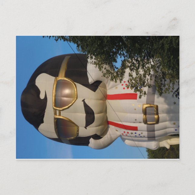 Luftballong i Binghamton, NY Vykort (Framsida)