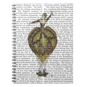 Luftballong Kvinnor 1 Anteckningsbok Med Spiral