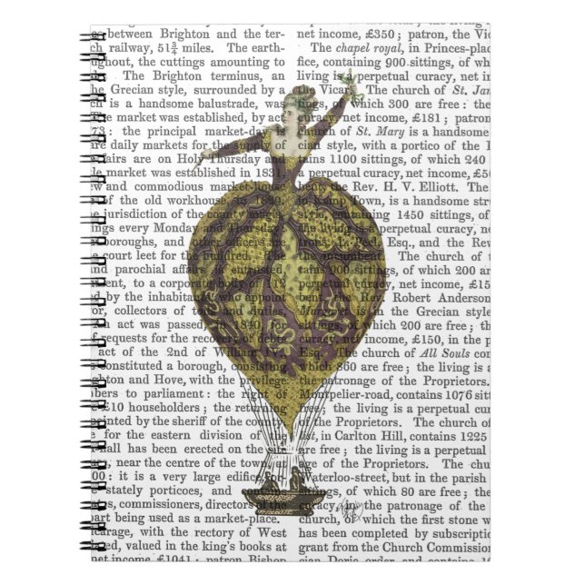 Luftballong Kvinnor 1 Anteckningsbok Med Spiral (Framsidan)