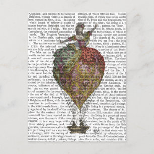 Luftballong Kvinnor 3 Vykort