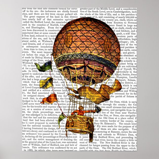Luftballong med Flaggor Poster (Framsidan)