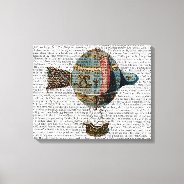 Luftballong med Svan ludd Canvastryck (Framsida)