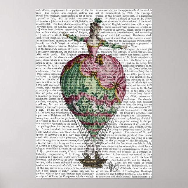 Luftballong Woman Poster (Framsidan)