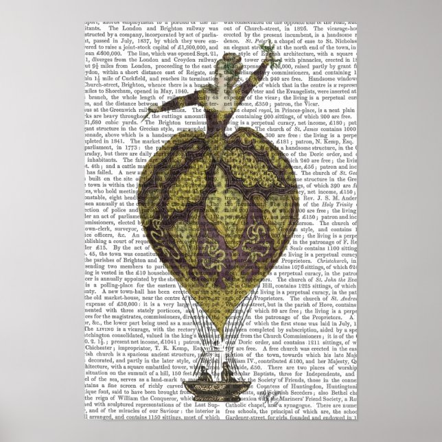 Luftballong Woman Poster (Framsidan)