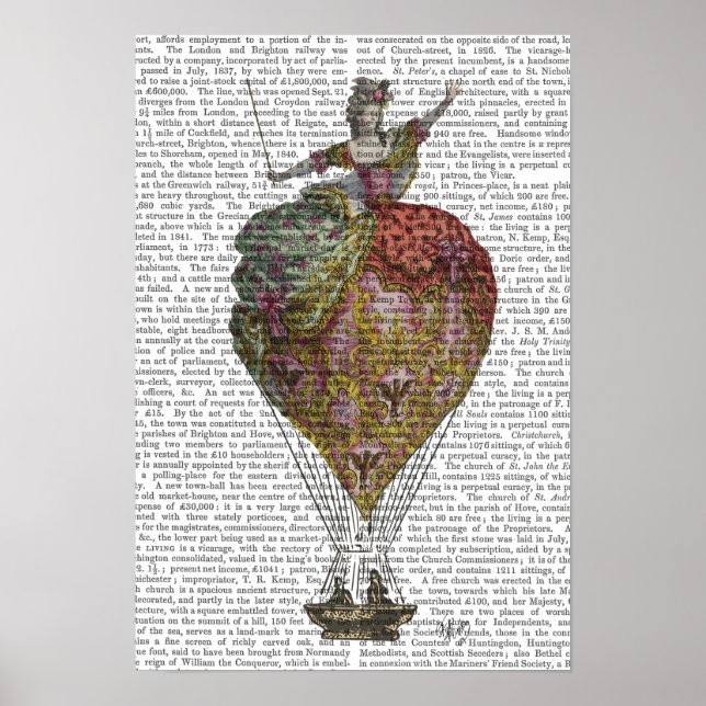 Luftballong Woman Poster (Framsidan)