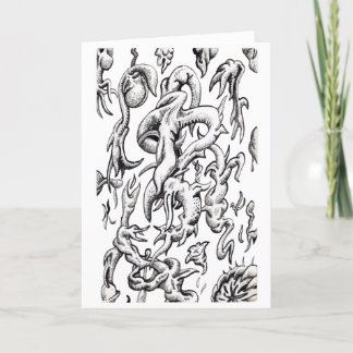 Luftburen fauna kort
