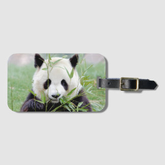 Luggage jätte panda 4. Bagagelapp