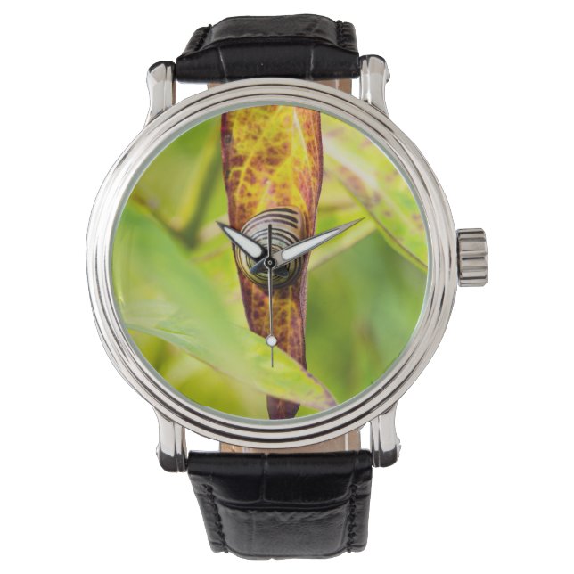 lugn anknytning armbandsur (Framsida)
