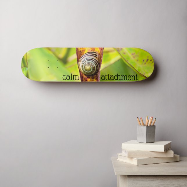 lugn anknytning mini skateboard bräda 18,5 cm (Väggkonst (Horz))