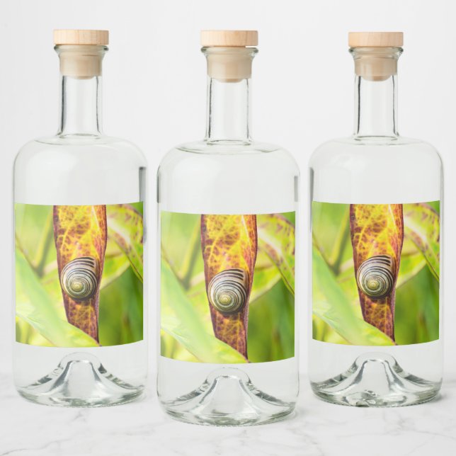 lugn anknytning spritflaskor etikett (Flaskor)