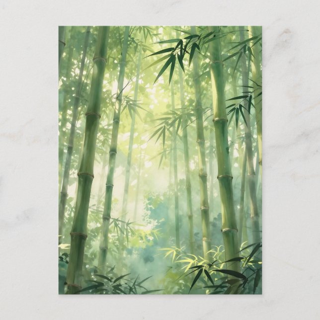 Lugn Bambu Skog Dim Glöd Vykort (Framsida)
