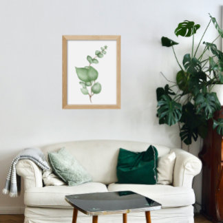 Lugn Botaniker Poster - Eucalyptus Löv Skriv ut