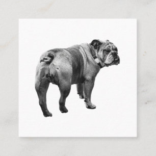 Lugn Bulldog, Mjukt Emblem Fyrkantigt Visitkort