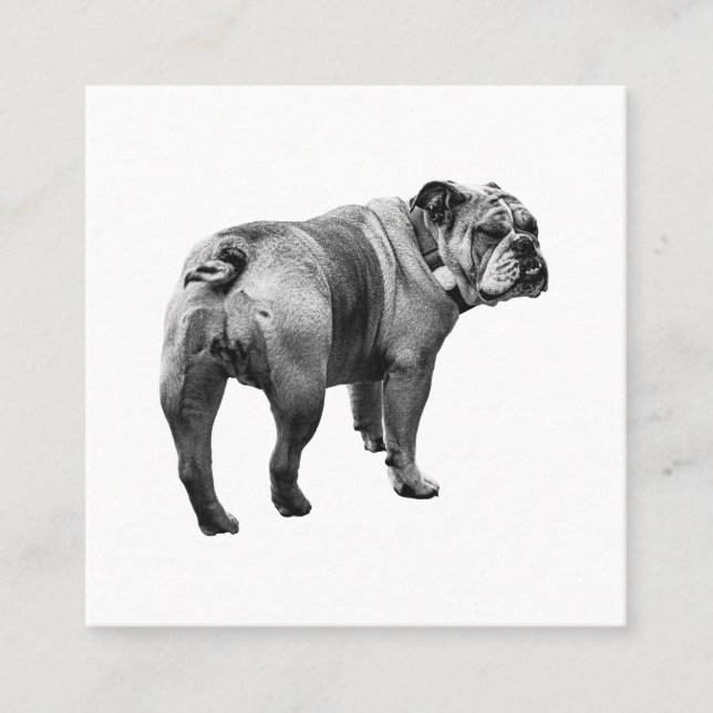 Lugn Bulldog, Mjukt Emblem Fyrkantigt Visitkort (Framsida)