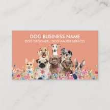 Lugn Coral Hund grooming boutique pet vevepy