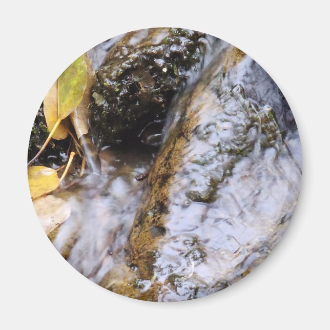 Lugn fjällström med höstlöv magnet (Framsidan)