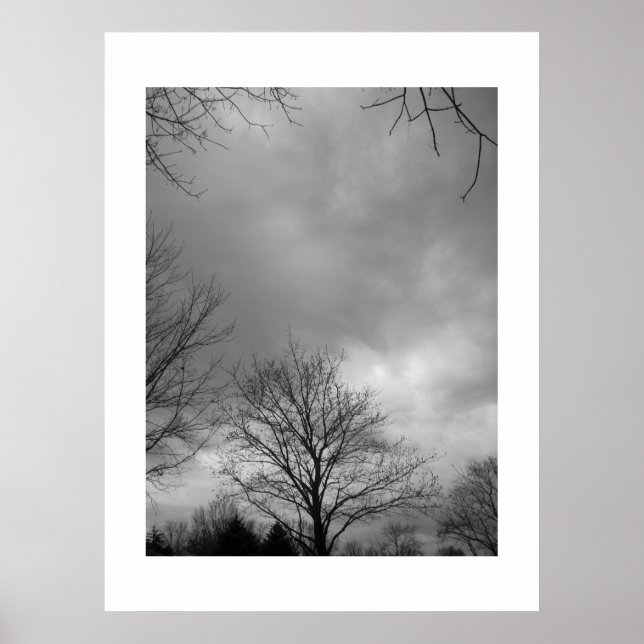 Lugn före Storm Canvas Poster (Framsidan)