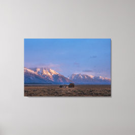 Lugn Grand Teton öppen prärie Canvastryck
