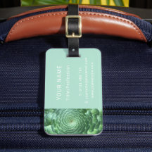 Lugn Grönt Succulent Plant