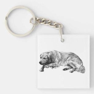 Lugn Hund