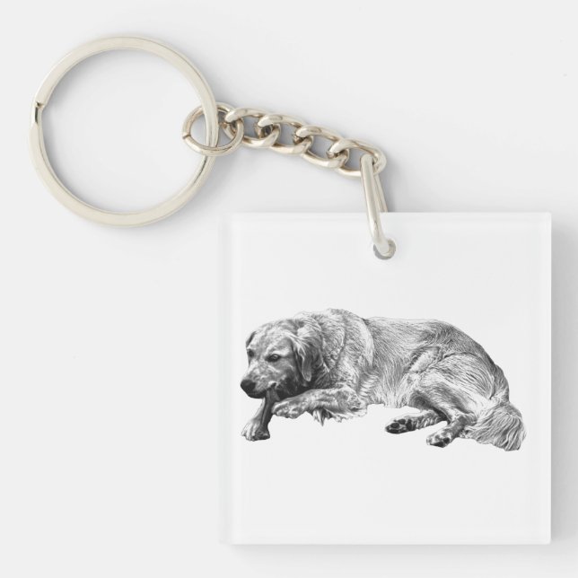 Lugn Hund (Framsidan)
