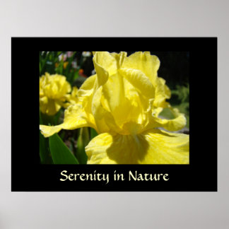 Lugn i naturen konsttryck Healing Touch-gåvor Poster