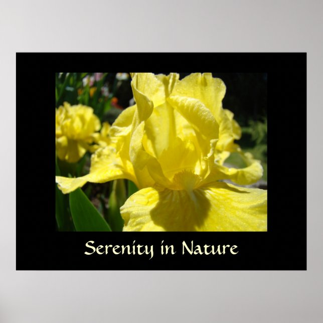 Lugn i naturen konsttryck Healing Touch-gåvor Poster (Framsidan)