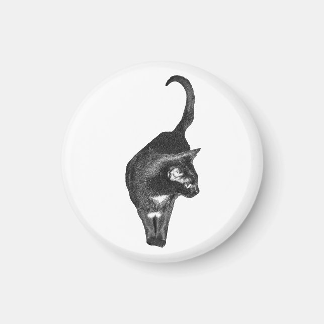Lugn kattmagnet magnet (Framsidan)