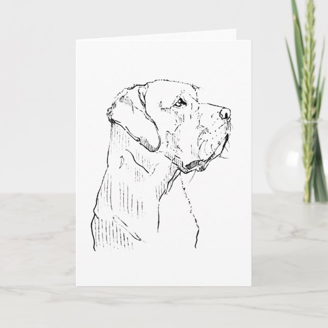 Lugn Labrador Retriever Greetingkort Kort (Framsida)