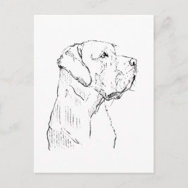 Lugn Labrador Retriever vykort
