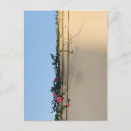 Lugn Moment Foto Vykort