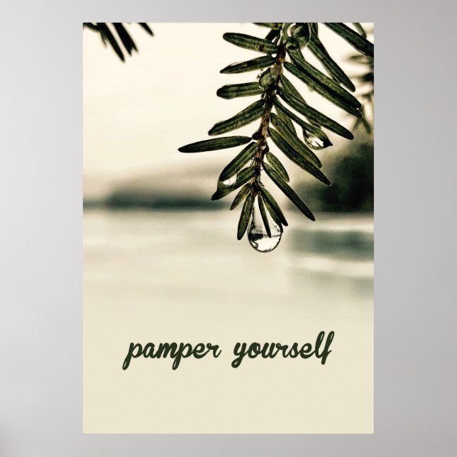 Lugn Natur Spa Estetik Poster (Framsidan)