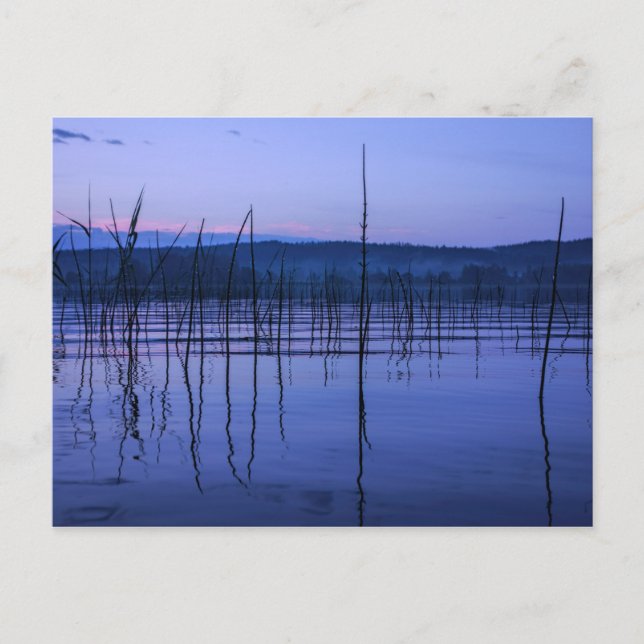 Lugn och dimmig sjö efter kraftigt regn vykort (Framsida)