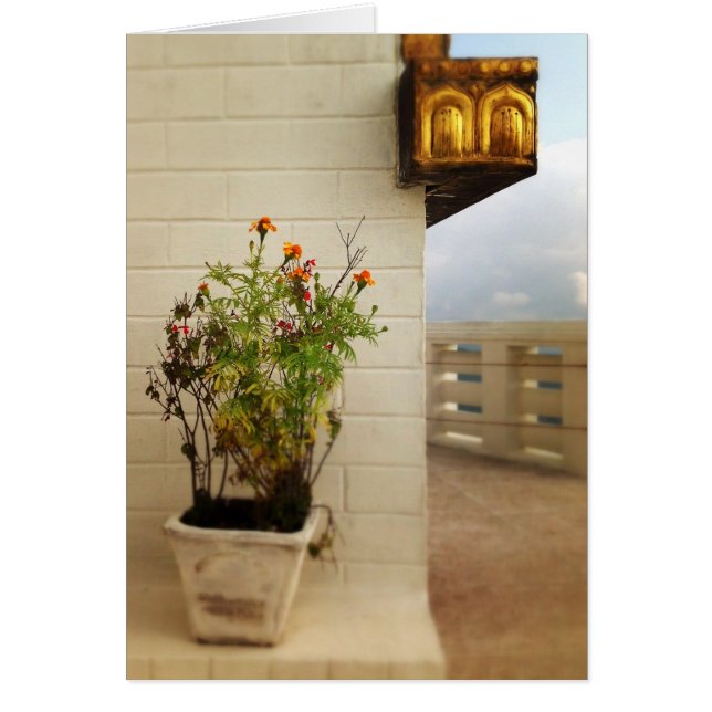 Lugn och utrymme i Nepal Hälsningskort (Framsidan)