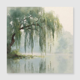 Lugn Pilträd Reflektion Natur Konst (9)