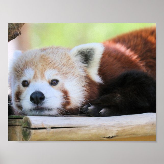 Lugn Poster (Framsidan)