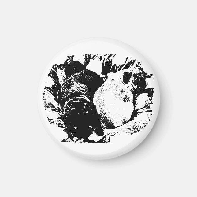 Lugn Pugs på kylskåpet Magnet (Framsidan)