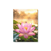 Lugn Rosa Lotusblomma Guld Hour Canvas Vägg A