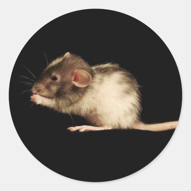 lugn runt klistermärke (Framsida)