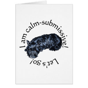 Lugn skotsk terrier hälsningskort