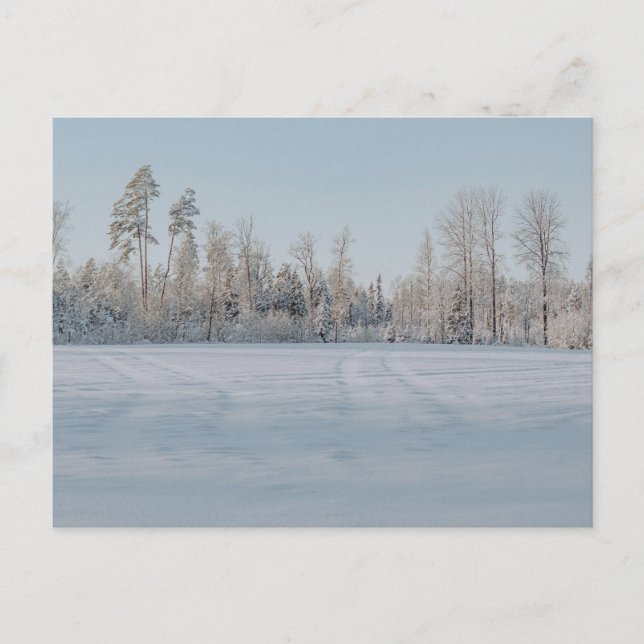 Lugn snöig skogslandskap vykort (Framsida)