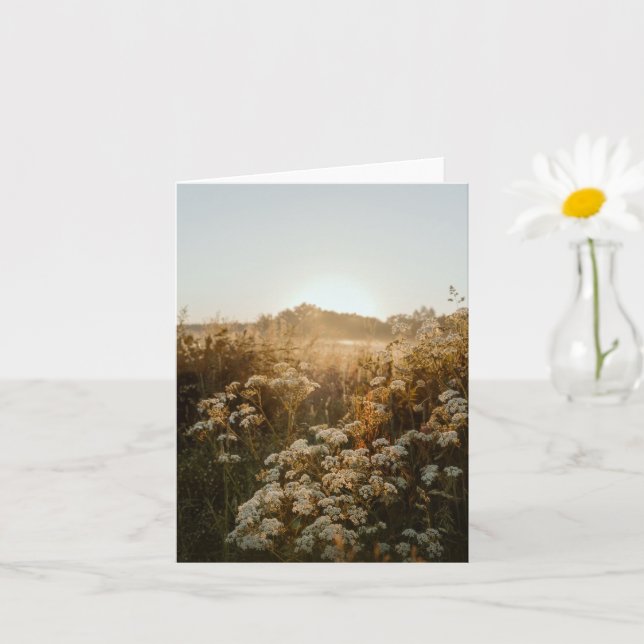 Lugn soluppgångsäng kort (Liten växt)