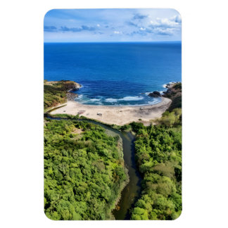 Lugn strand vid flodmynningen – vild natur magnet